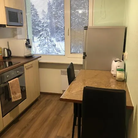 Reiu Apartment *